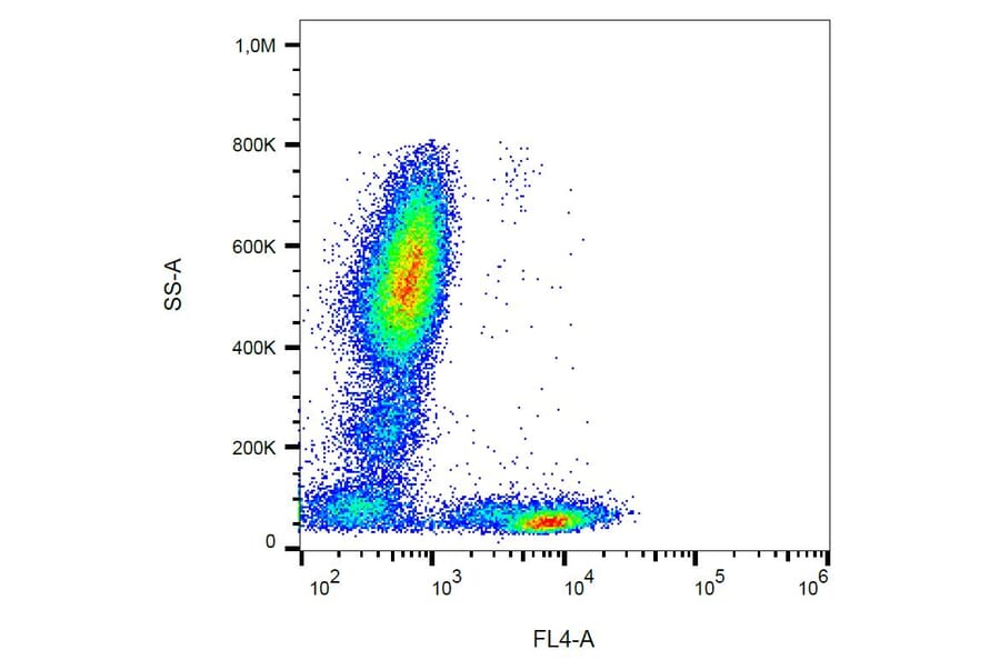 Flow Cytometry - Anti-CD5 Antibody [L17F12] (PerCP) (A86236) - Antibodies.com