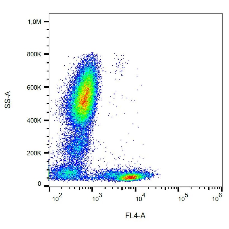 Flow Cytometry - Anti-CD5 Antibody [L17F12] (PerCP) (A86236) - Antibodies.com