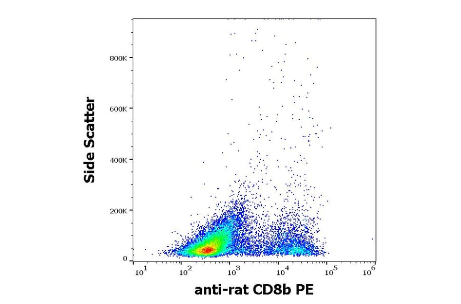 Flow Cytometry - Anti-CD8 beta Antibody [341] (PE) (A86242)