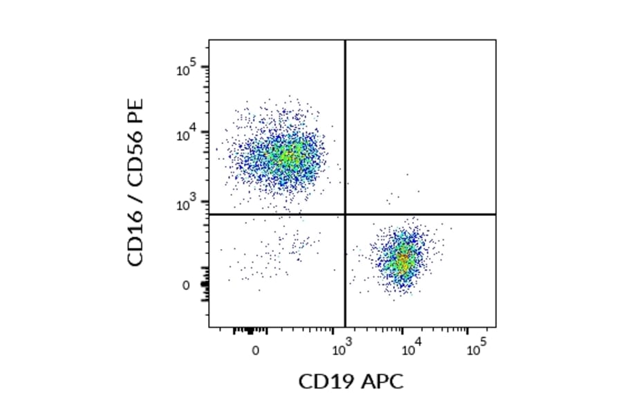 Flow Cytometry - Anti-CD19 Antibody [LT19] (APC) (A86230) - Antibodies.com
