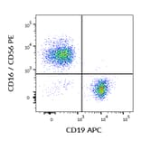 Flow Cytometry - Anti-CD19 Antibody [LT19] (APC) (A86230) - Antibodies.com