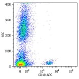 Flow Cytometry - Anti-CD19 Antibody [LT19] (APC) (A86244) - Antibodies.com