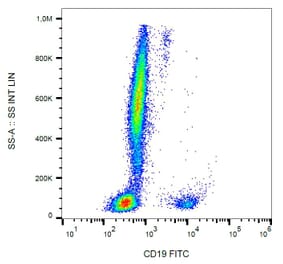 Flow Cytometry - Anti-CD19 Antibody [LT19] (FITC) (A86245)