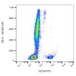 Flow Cytometry - Anti-CD19 Antibody [LT19] (FITC) (A86245)