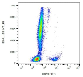 Flow Cytometry - Anti-CD19 Antibody [LT19] (FITC) (A86240) - Antibodies.com