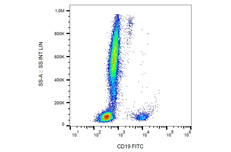 Flow Cytometry - Anti-CD19 Antibody [LT19] (FITC) (A86240) - Antibodies.com
