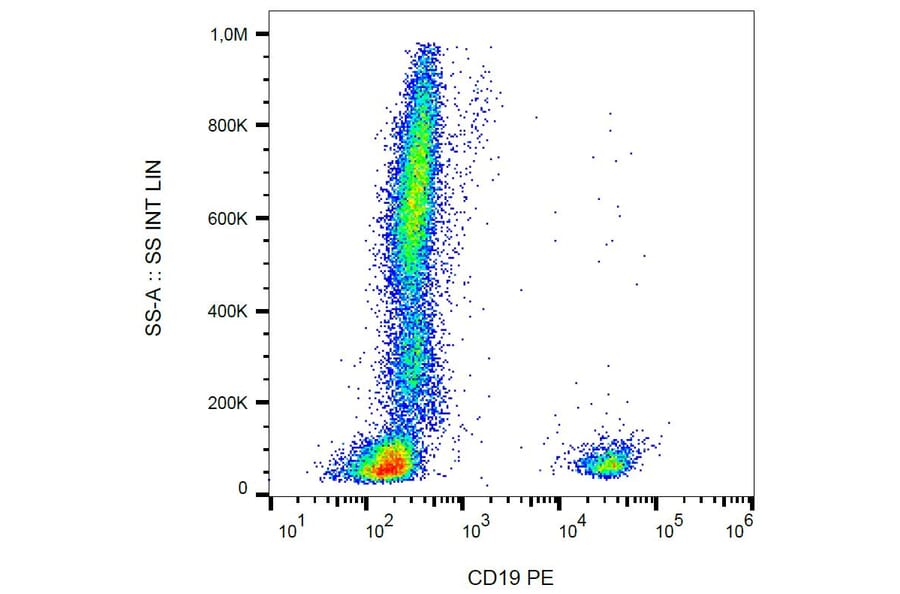 Flow Cytometry - Anti-CD19 Antibody [LT19] (PE) (A86246)