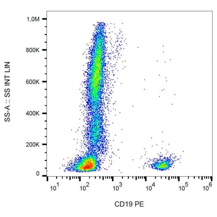 Flow Cytometry - Anti-CD19 Antibody [LT19] (PE) (A86246)