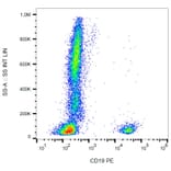 Flow Cytometry - Anti-CD19 Antibody [LT19] (PE) (A86246)