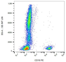Flow Cytometry - Anti-CD19 Antibody [LT19] (PE) (A86245) - Antibodies.com