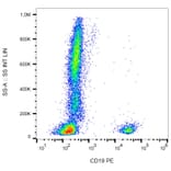 Flow Cytometry - Anti-CD19 Antibody [LT19] (PE) (A86245) - Antibodies.com