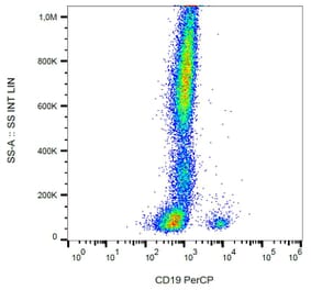 Flow Cytometry - Anti-CD19 Antibody [LT19] (PerCP) (A86247)