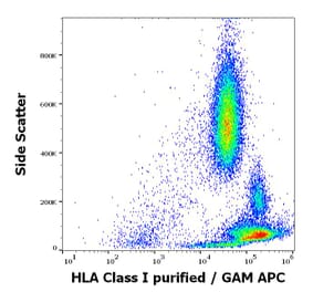 Flow Cytometry - Anti-HLA Class I Antibody [MEM-81] (A86249)