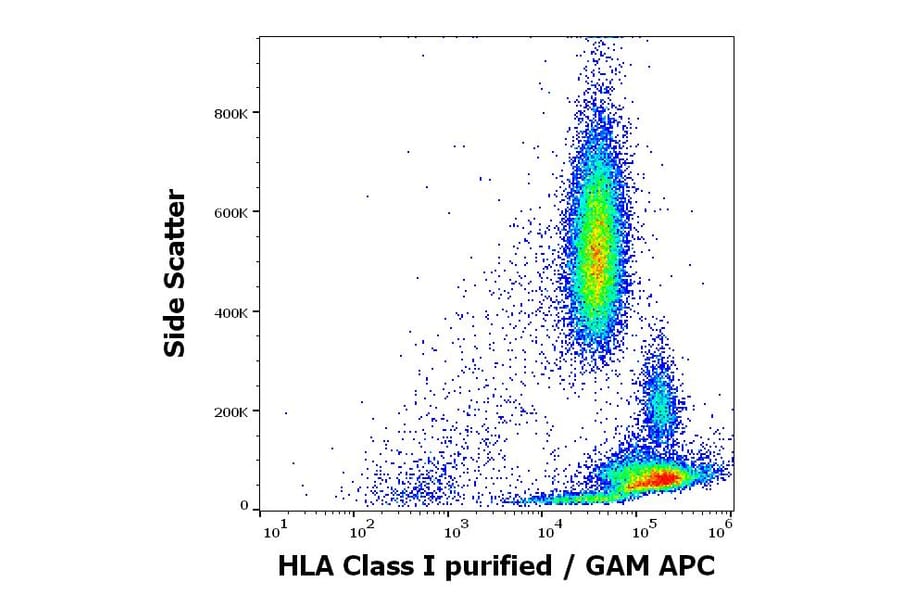 Flow Cytometry - Anti-HLA Class I Antibody [MEM-81] (A86249)