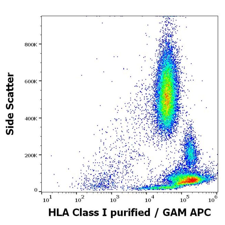 Flow Cytometry - Anti-HLA Class I Antibody [MEM-81] (A86249)