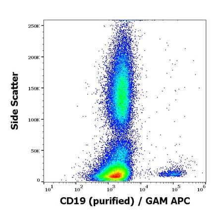 Flow Cytometry - Anti-CD19 Antibody [LT19] (A86250)