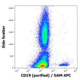 Flow Cytometry - Anti-CD19 Antibody [LT19] (A86250)