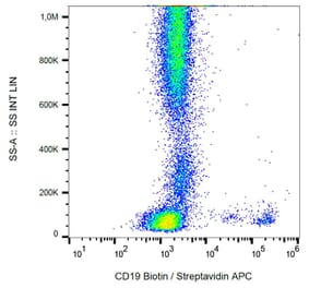 Flow Cytometry - Anti-CD19 Antibody [LT19] (Biotin) (A86252)