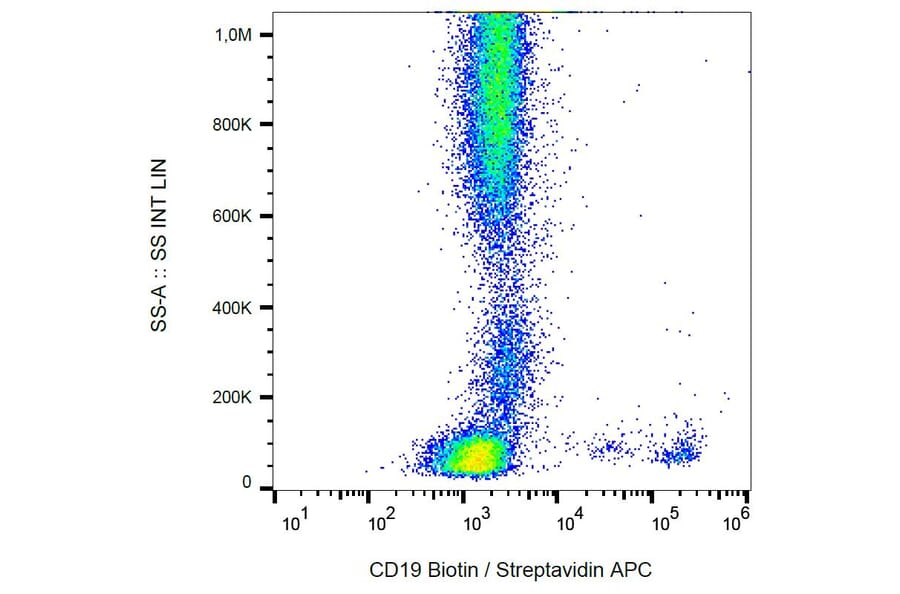 Flow Cytometry - Anti-CD19 Antibody [LT19] (Biotin) (A86252)