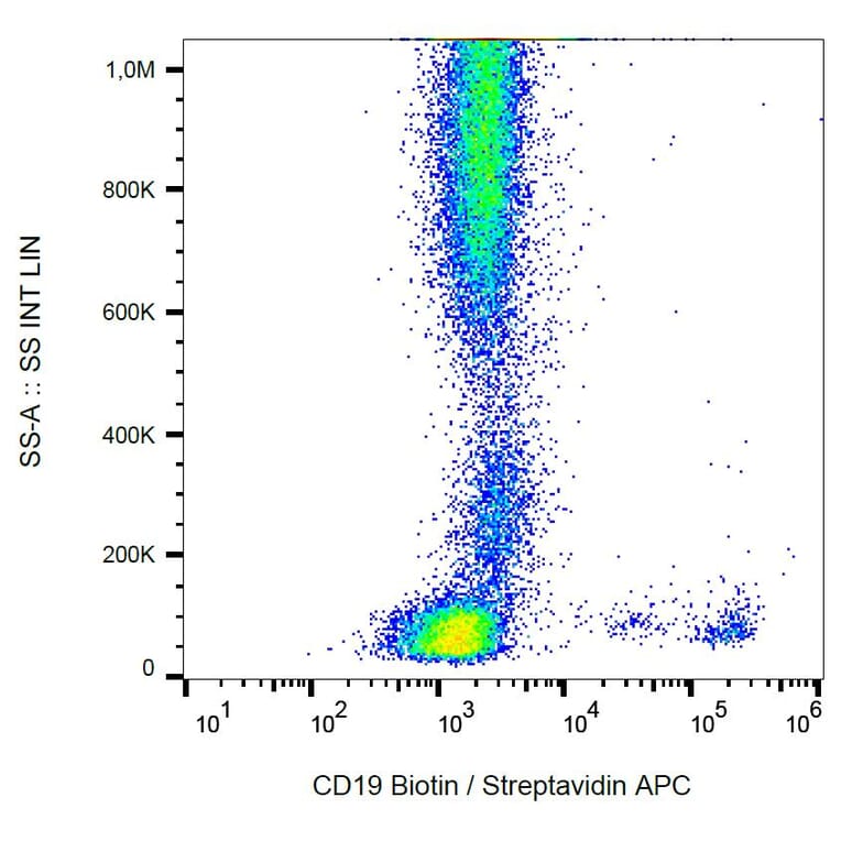 Flow Cytometry - Anti-CD19 Antibody [LT19] (Biotin) (A86252)
