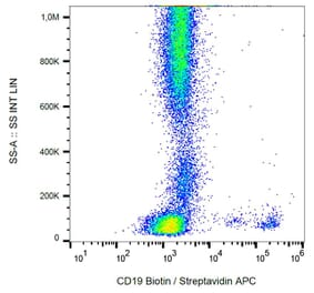Flow Cytometry - Anti-CD19 Antibody [LT19] (Biotin) (A86251) - Antibodies.com