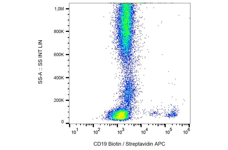 Flow Cytometry - Anti-CD19 Antibody [LT19] (Biotin) (A86251) - Antibodies.com