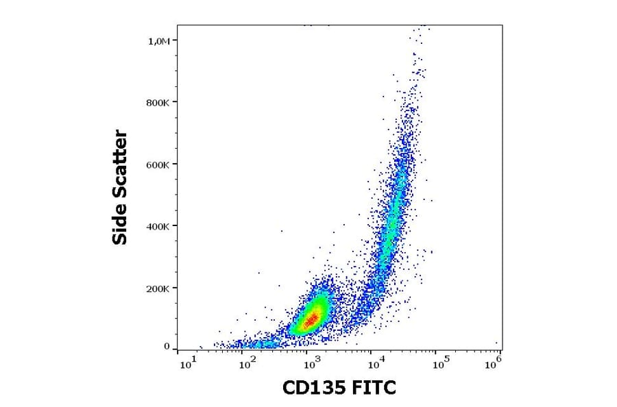 Flow Cytometry - Anti-Flt3/CD135 Antibody [BV10A4] (FITC) (A86257)