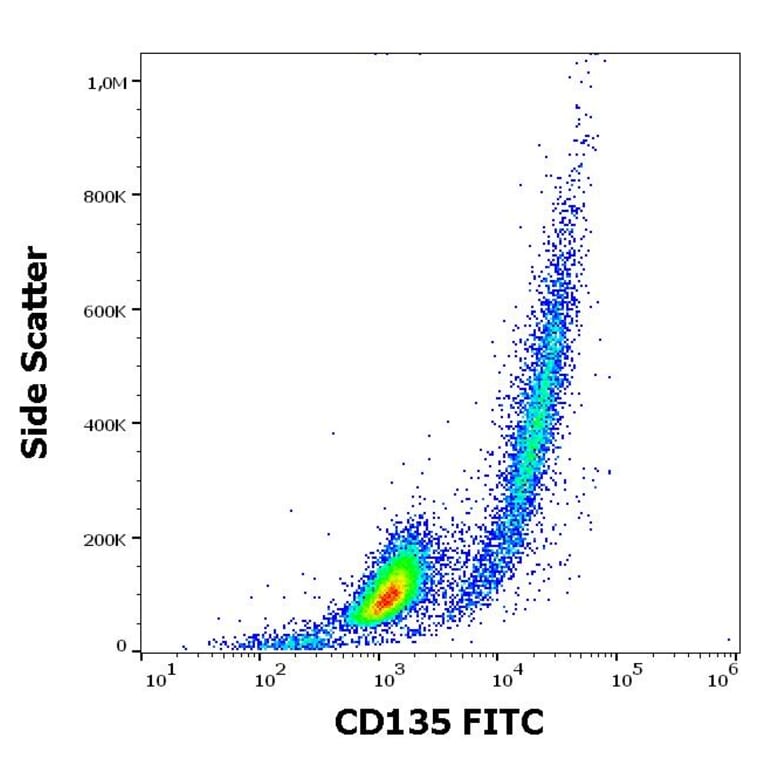 Flow Cytometry - Anti-Flt3/CD135 Antibody [BV10A4] (FITC) (A86257)