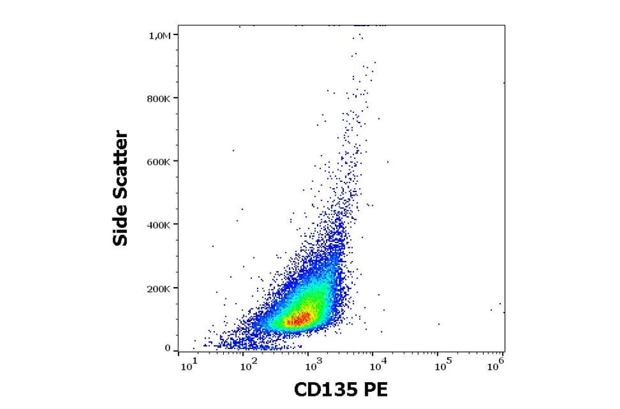Flow Cytometry - Anti-Flt3/CD135 Antibody [BV10A4] (PE) (A86259)