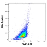 Flow Cytometry - Anti-Flt3/CD135 Antibody [BV10A4] (PE) (A86259)