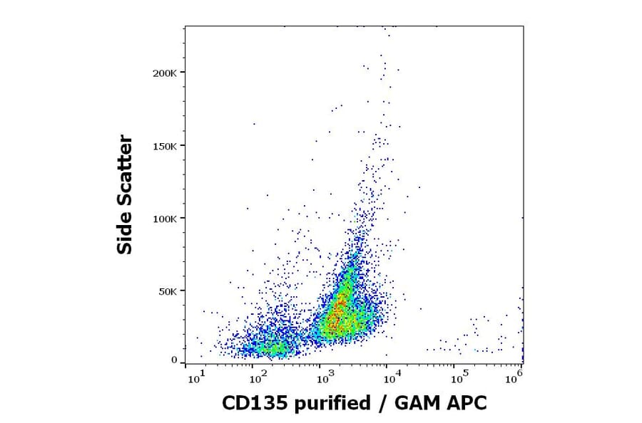 Flow Cytometry - Anti-Flt3/CD135 Antibody [BV10A4] (A86263)