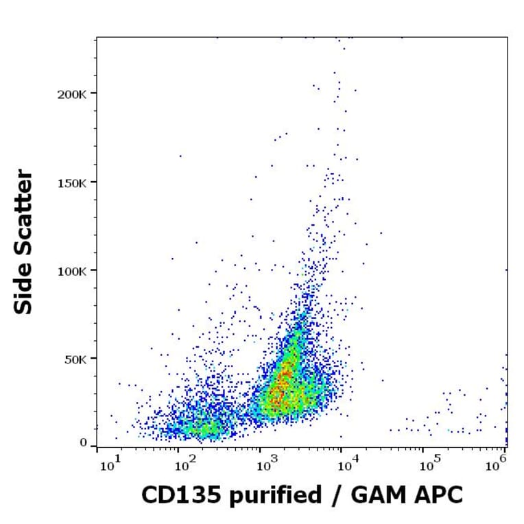 Flow Cytometry - Anti-Flt3/CD135 Antibody [BV10A4] (A86263)