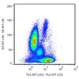 Flow Cytometry - Anti-Bcl-2 Antibody [Bcl-2/100] (APC) (A86270) - Antibodies.com