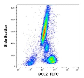 Flow Cytometry - Anti-Bcl-2 Antibody [Bcl-2/100] (FITC) (A86273)