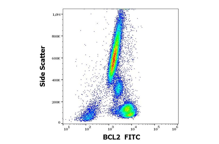 Flow Cytometry - Anti-Bcl-2 Antibody [Bcl-2/100] (FITC) (A86273)