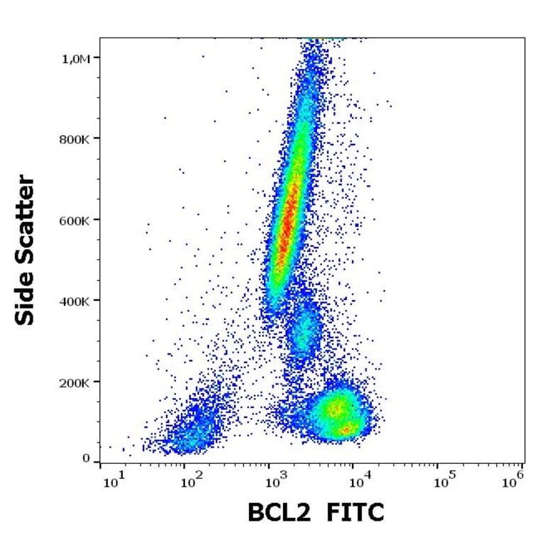 Flow Cytometry - Anti-Bcl-2 Antibody [Bcl-2/100] (FITC) (A86273)