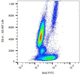 Flow Cytometry - Anti-Bcl-2 Antibody [Bcl-2/100] (FITC) (A86271) - Antibodies.com