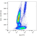 Flow Cytometry - Anti-Bcl-2 Antibody [Bcl-2/100] (FITC) (A86271) - Antibodies.com