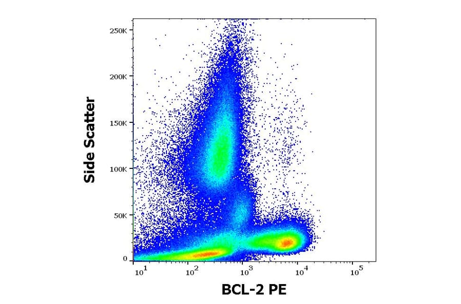Flow Cytometry - Anti-Bcl-2 Antibody [Bcl-2/100] (PE) (A86275)