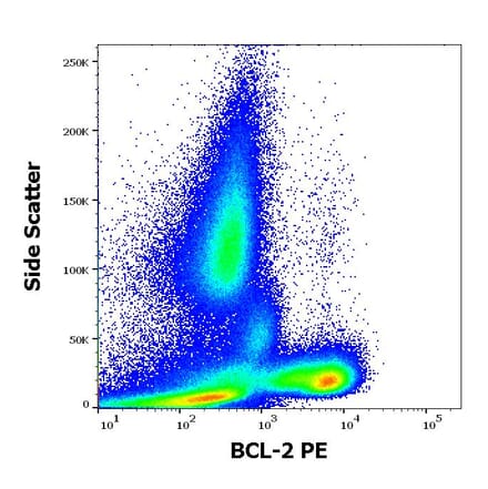 Flow Cytometry - Anti-Bcl-2 Antibody [Bcl-2/100] (PE) (A86275)