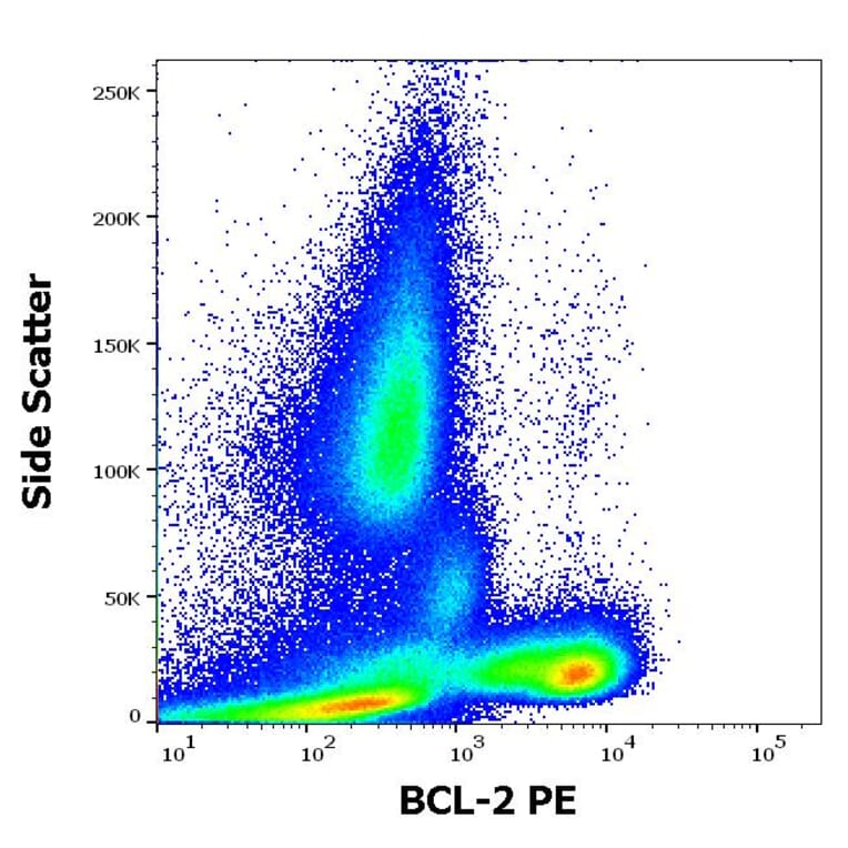 Flow Cytometry - Anti-Bcl-2 Antibody [Bcl-2/100] (PE) (A86275)
