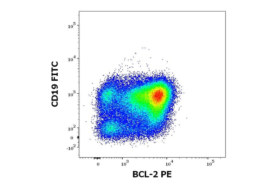 Flow Cytometry - Anti-Bcl-2 Antibody [Bcl-2/100] (PE) (A86275)