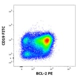 Flow Cytometry - Anti-Bcl-2 Antibody [Bcl-2/100] (PE) (A86275)
