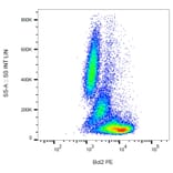 Flow Cytometry - Anti-Bcl-2 Antibody [Bcl-2/100] (PE) (A86275)