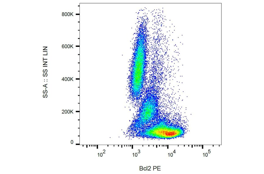 Flow Cytometry - Anti-Bcl-2 Antibody [Bcl-2/100] (PE) (A86274) - Antibodies.com