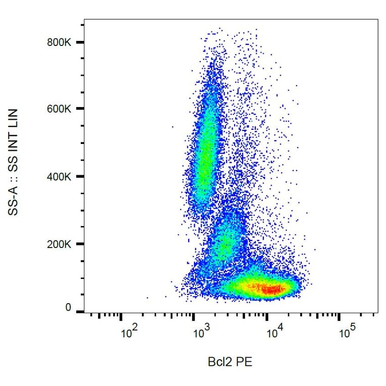 Flow Cytometry - Anti-Bcl-2 Antibody [Bcl-2/100] (PE) (A86274) - Antibodies.com