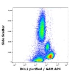 Flow Cytometry - Anti-Bcl-2 Antibody [Bcl-2/100] (A86278)