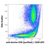 Flow Cytometry - Anti-CD9 Antibody [IVA50] (A86286)