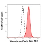 Flow Cytometry - Anti-Vimentin Antibody [VI-01] (A86296)