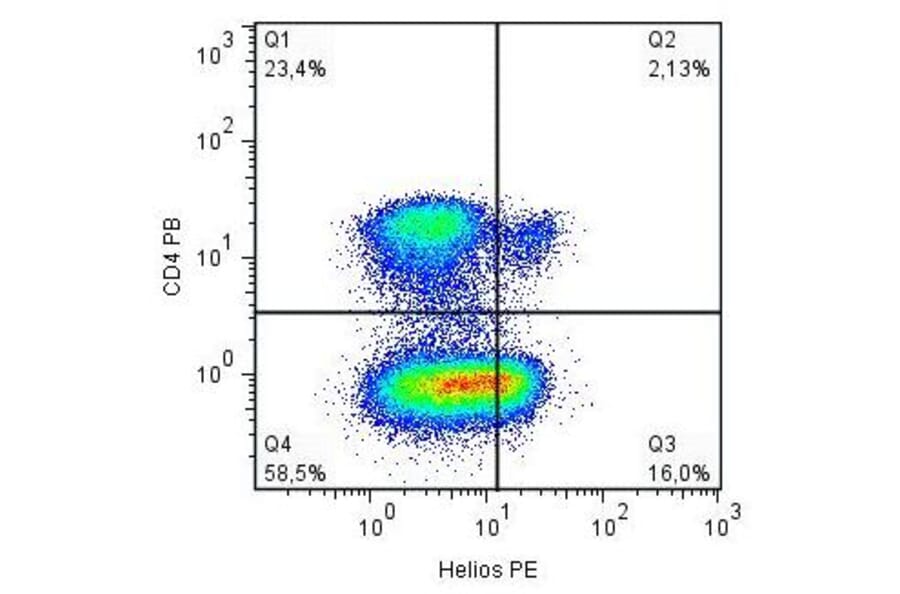 Flow Cytometry - Anti-ZNFN1A2/HELIOS Antibody [22F6] (PE) (A86297)